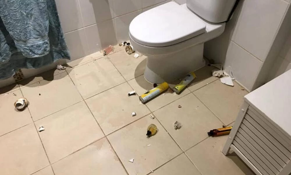 Άκουσε θόρυβο στη τουαλέτα και αυτό που αντίκρισε της έκοψε τα πόδια